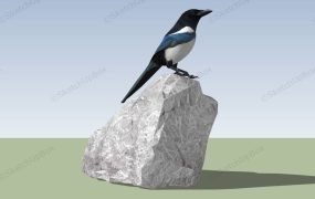 Magpie Bird On Rock