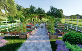 Vegetable Garden Design