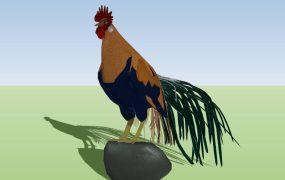 Colorful Rooster Chicken