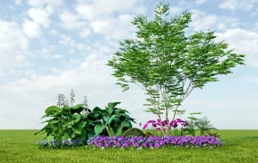 Garden Border Design Idea