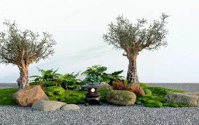 Ancient Tree Zen Garden Design