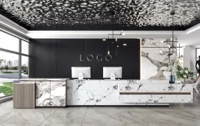 Luxury Office Reception Design
