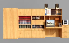 Entertainment Center With Bookshelves