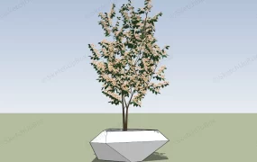 White Tree Surround Raised Bed