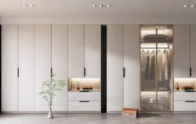 Modern Built In Wardrobe Closet