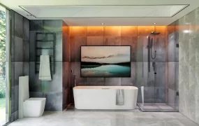 Bathroom Design With Bathtub And Shower