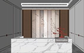 Reception Desk and Feature Wall Design
