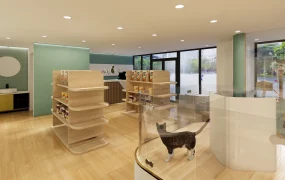 Pet Store Interior Design
