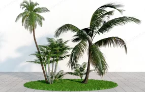 Palm Tree Landscaping Idea
