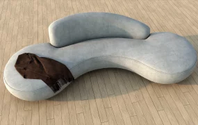 Curved Couch Sofa