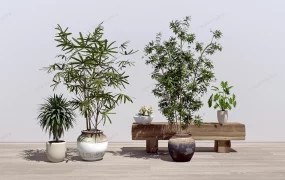 Tall Narrow Indoor Plants