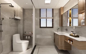 Apartment Bathroom Design