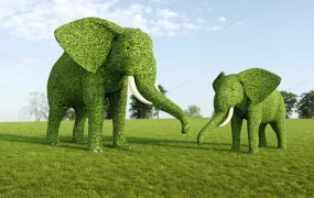 Elephant Topiary