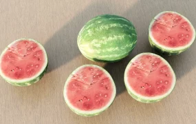 Watermelon Fruit