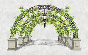 Archway Rose Pergola