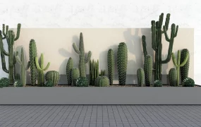 Cactus Garden Bed Design