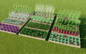 Raised Bed Vegetable Garden