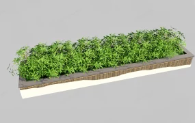 Raised Garden Bed
