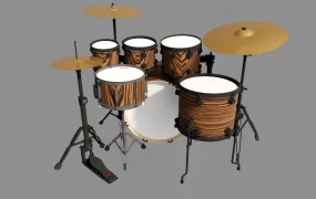 Acoustic Drum Set