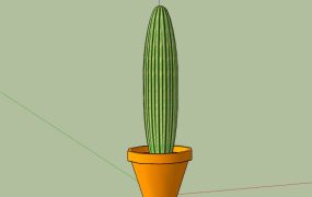 Potted Cactus