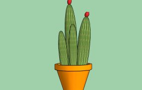 Cactus Potted Plant