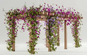Romantic Garden Pergola With Blooming Vines
