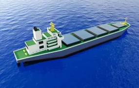 Bulk Carrier Cargo Ship