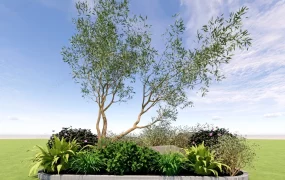 Landscape Bed Design