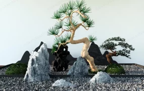 Zen Rock Garden Design