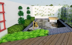 Backyard Pond Idea