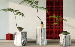 Indoor Fern Bonsai Tree