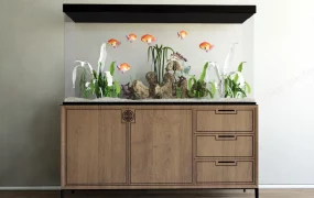 Goldfish Tank With Stand