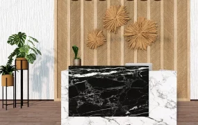 Modern Salon Reception Desk
